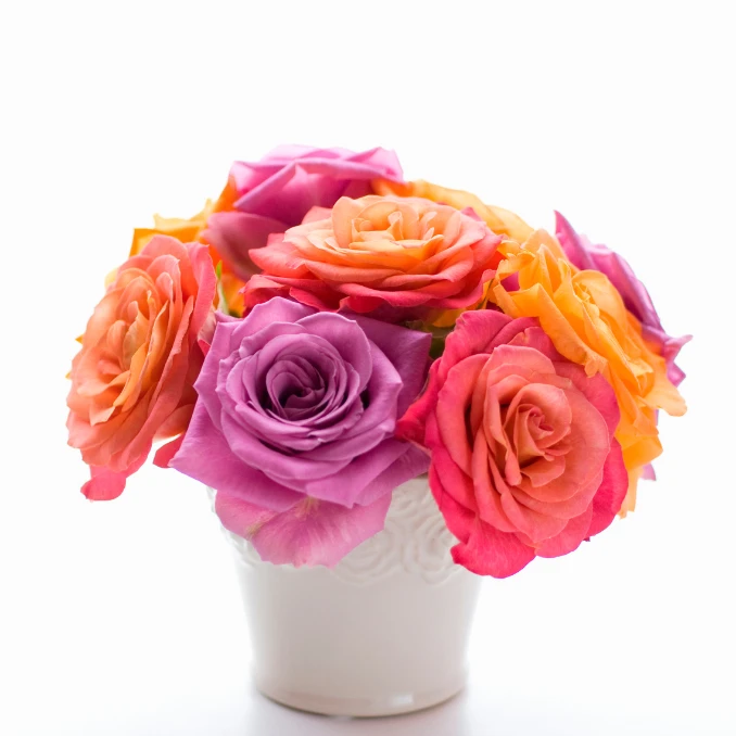 Вибирайте картинки з днем народження жінці рози