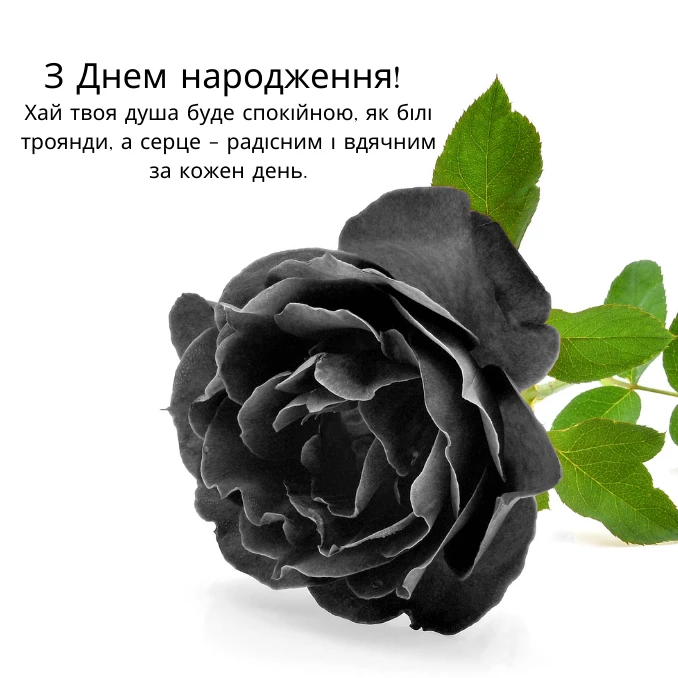 Приклади привітань на наших листівках з днем народження