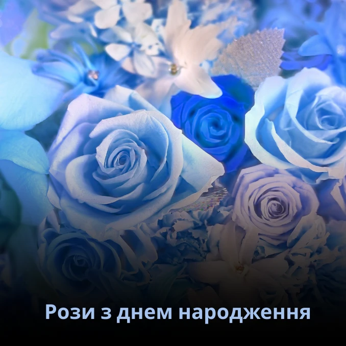 Троянди чи рози