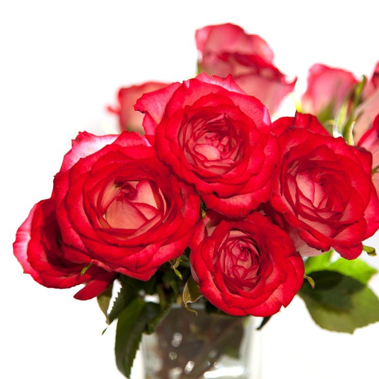 Як вибрати шикарний букет з Днем народження, який точно сподобається жінці 