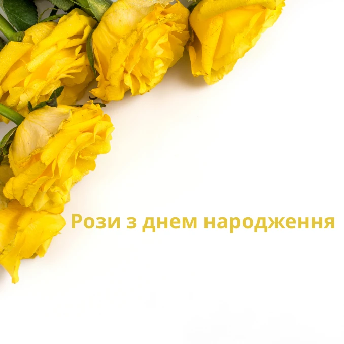 Як скористатися нашими листівками з розами до Дня народження жінки