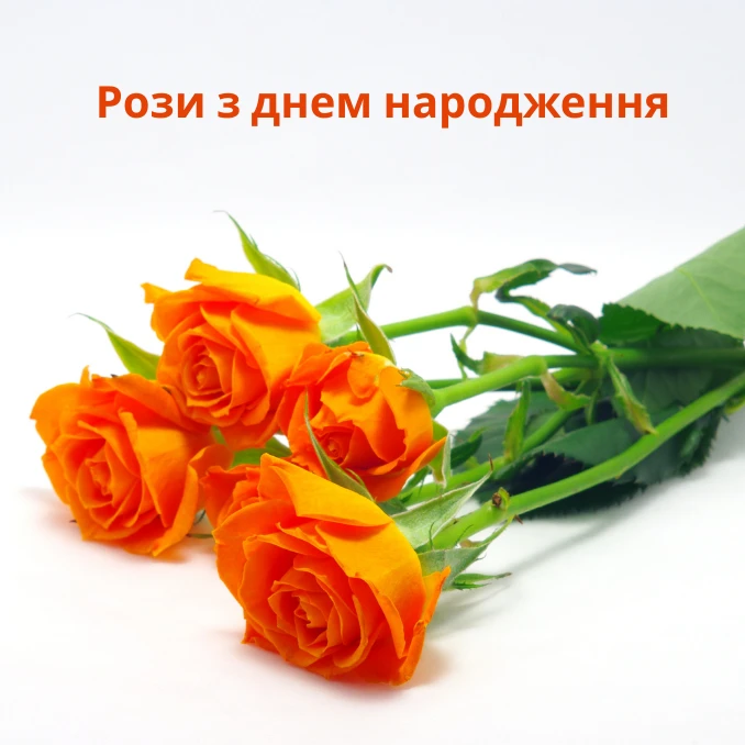 Як скористатися нашими листівками з розами до Дня народження жінки