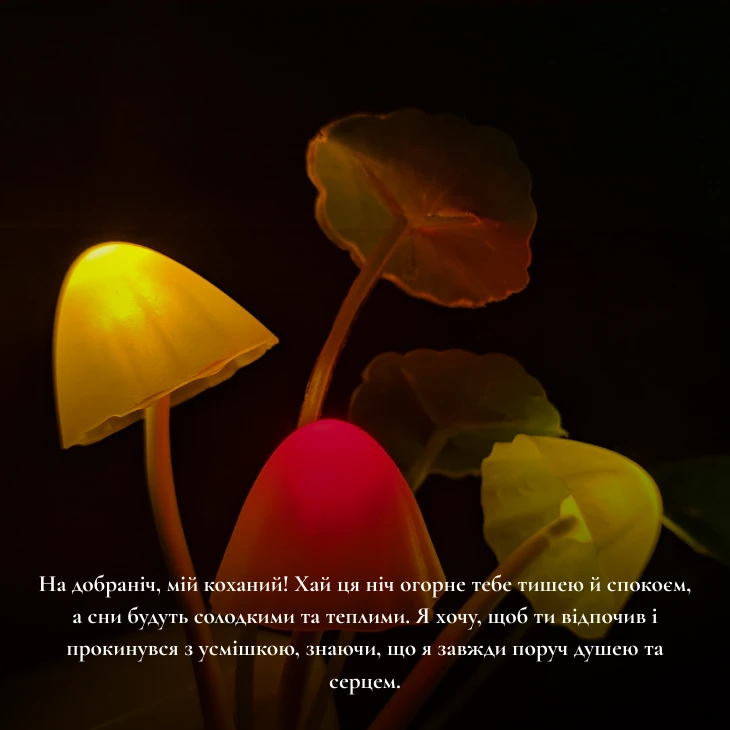 6 щирих та романтичне побажання на добраніч коханому