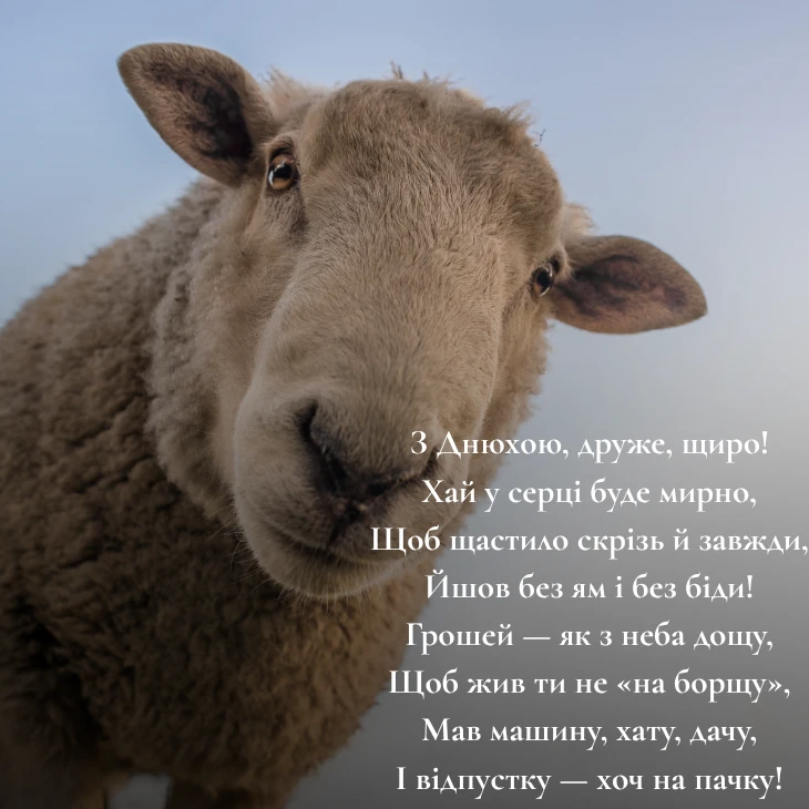 З Днем народження другу