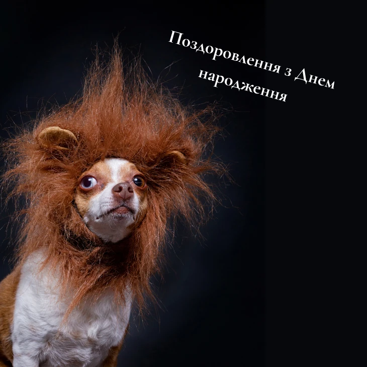 Патріотичні привітання другу з Днем народження