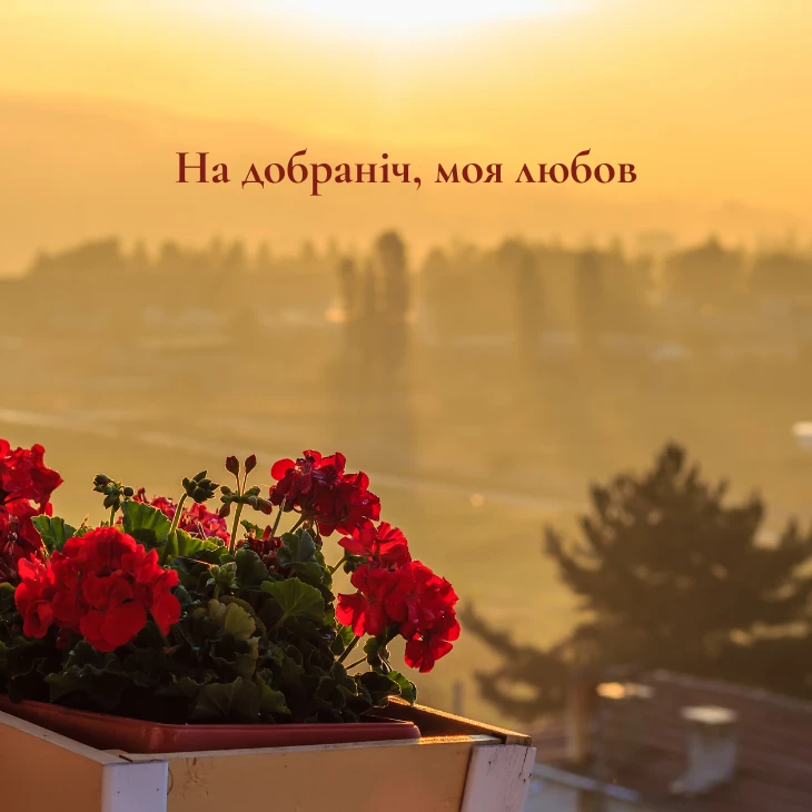 Приклади коротких романтичне побажання на добраніч