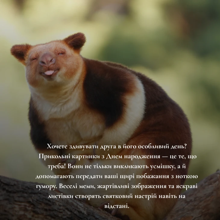 Прикольні картинки з Днем народження другу