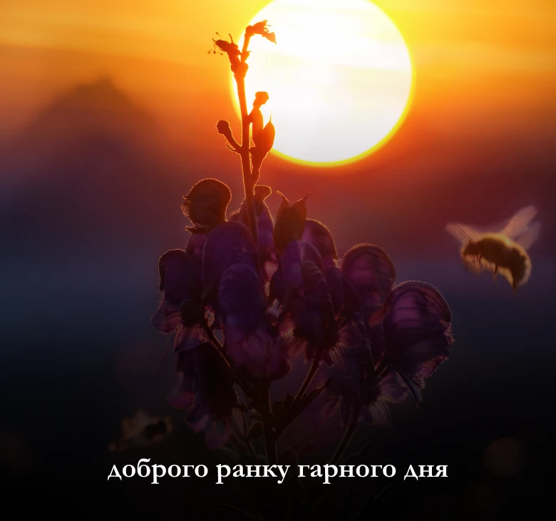 доброго ранку гарного дня - картинки