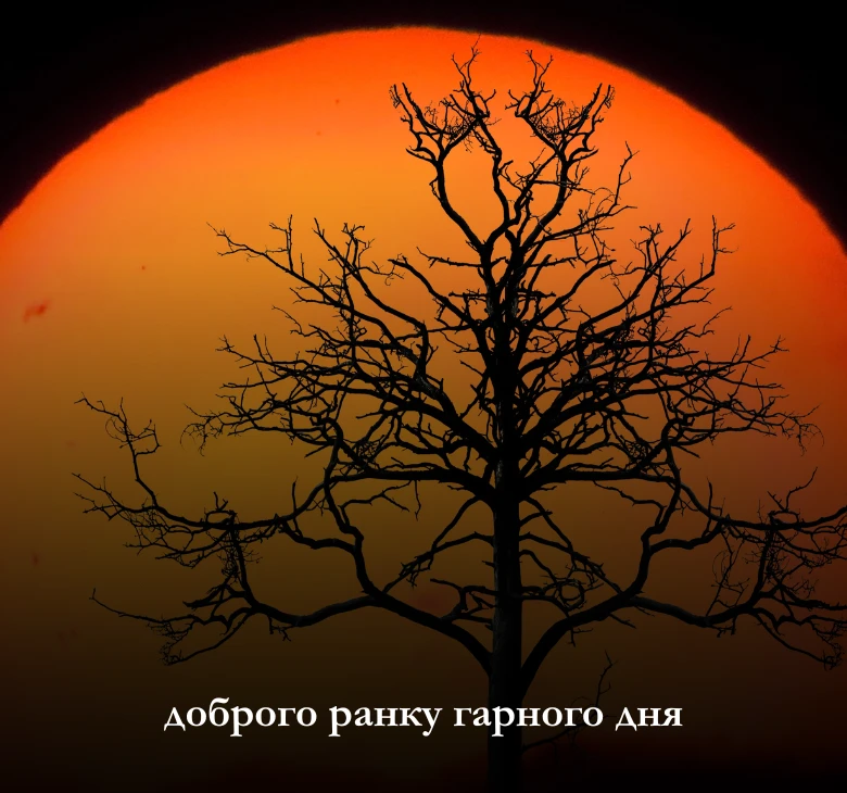 доброго ранку гарного дня - картинки