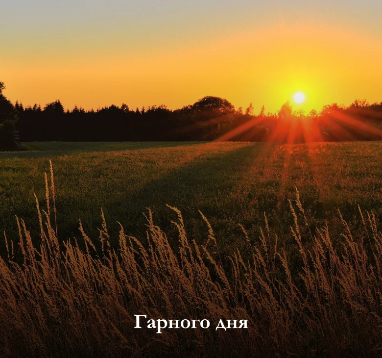 Гарного дня