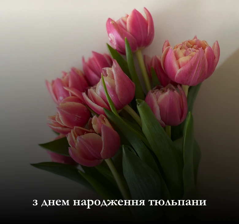 Картинки та листівки з днем народження тюльпани