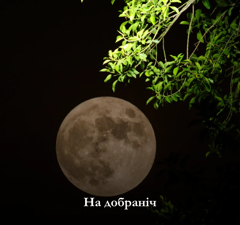 на добраніч картинки нові