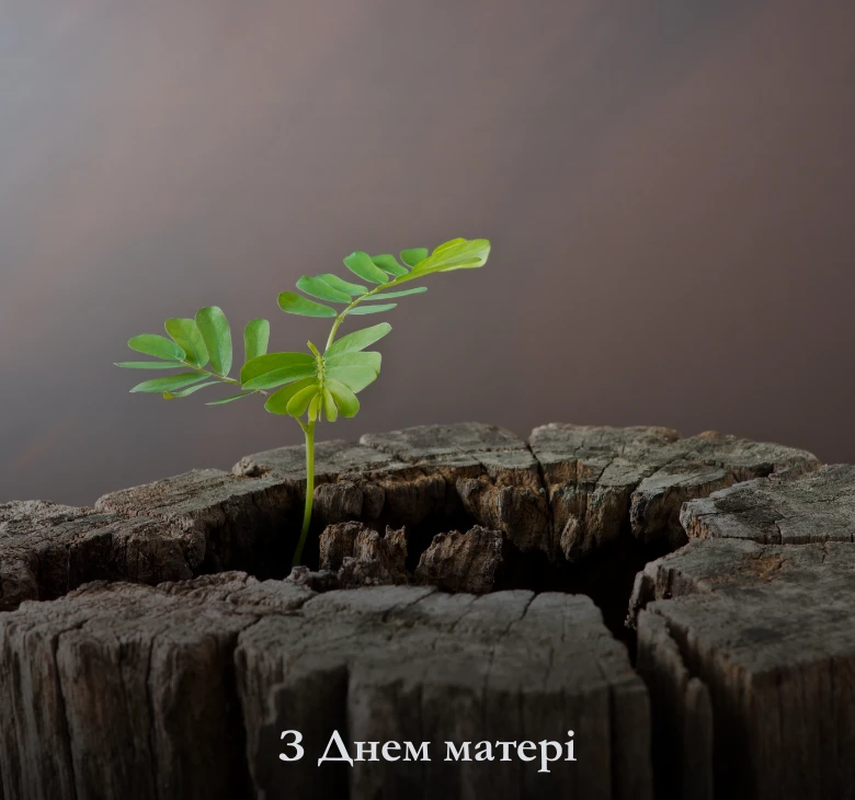 Офіційні привітання з Днем матері