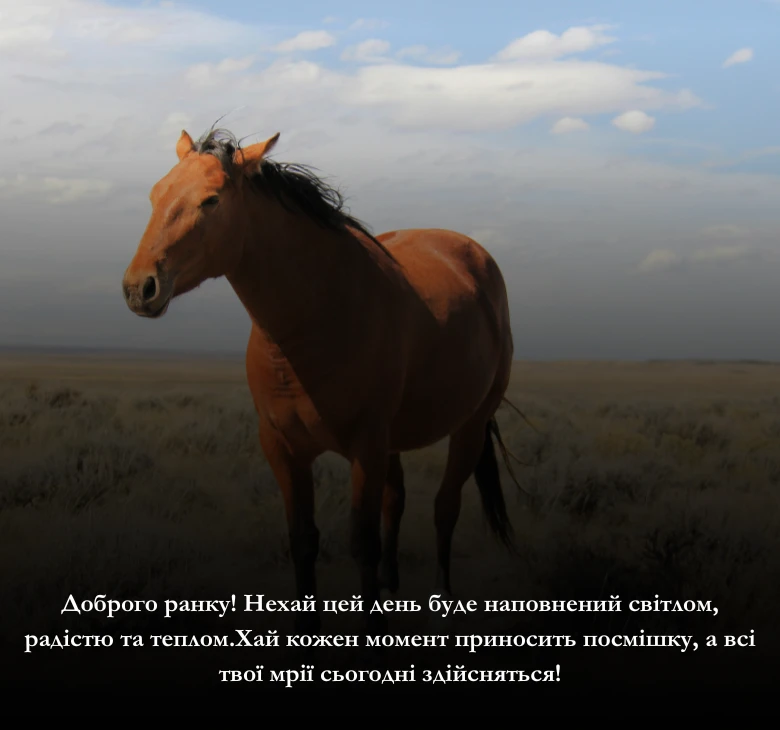 побажання гарного дня - картинки