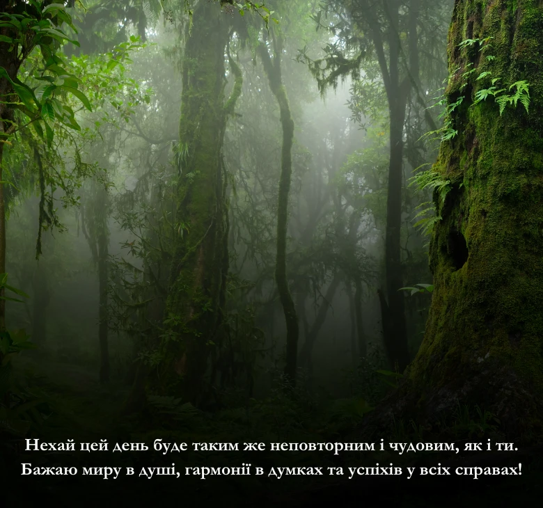 побажання гарного дня - картинки