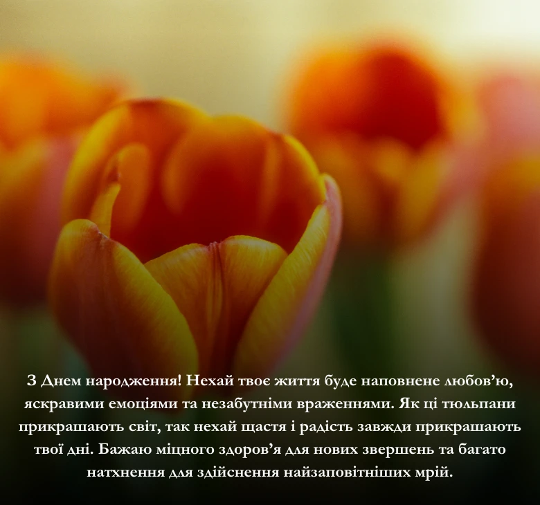 Привітання з днем народження тюльпани