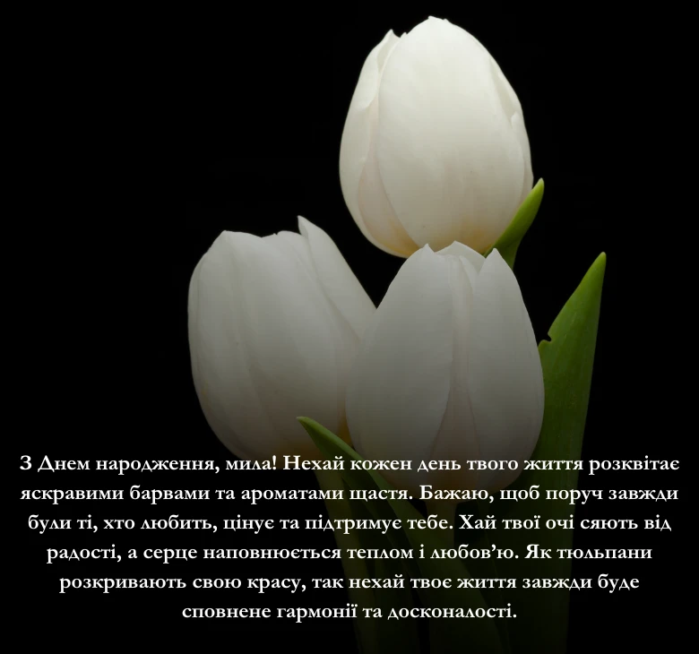 Привітання з днем народження тюльпани