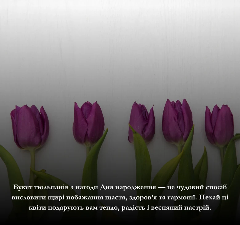 Привітання з днем народження тюльпани