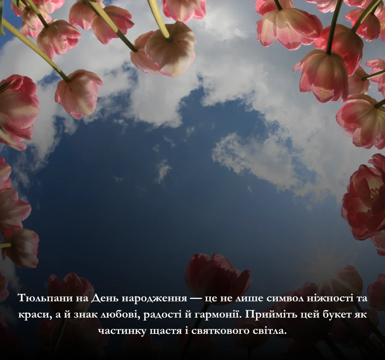 Привітання з днем народження тюльпани