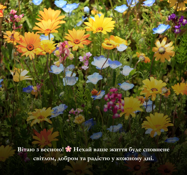 Картинки та листівки з першим днем весни