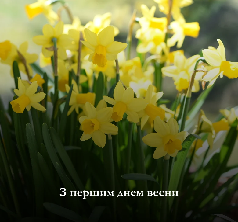Листівки з першим днем весни