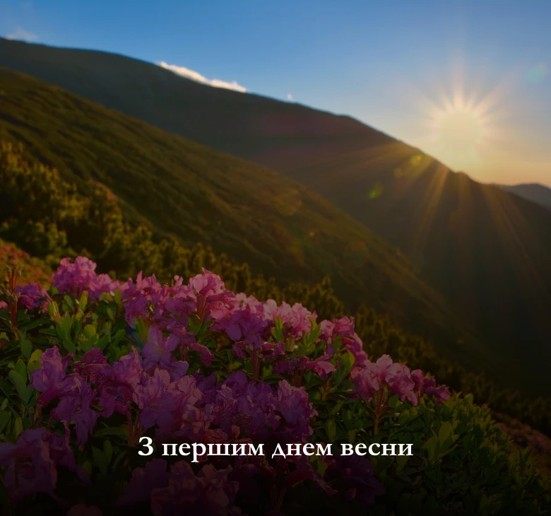 Листівки з першим днем весни