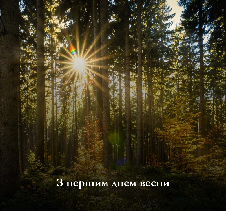 Листівки з першим днем весни