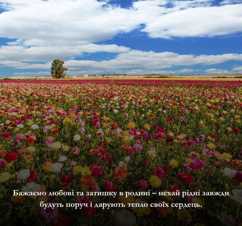 Що побажати у перший день весни українцям у 2026 році?