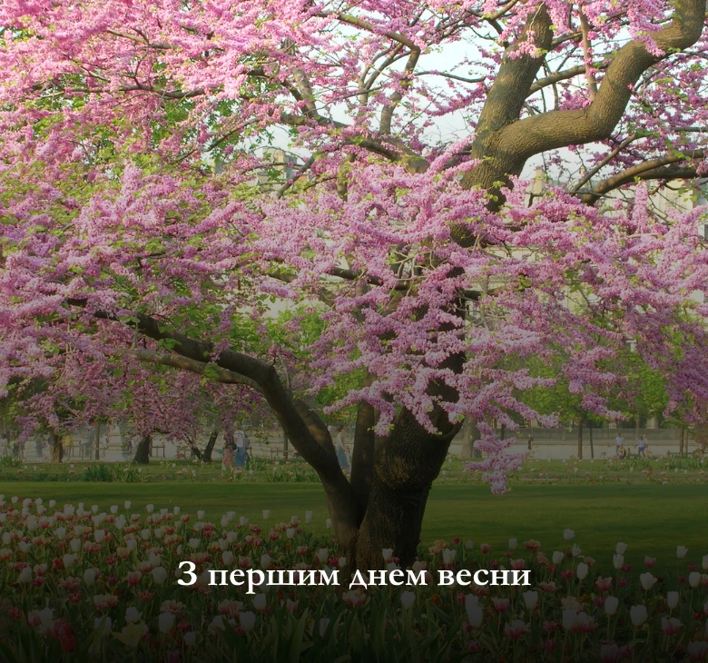 З першим днем весни