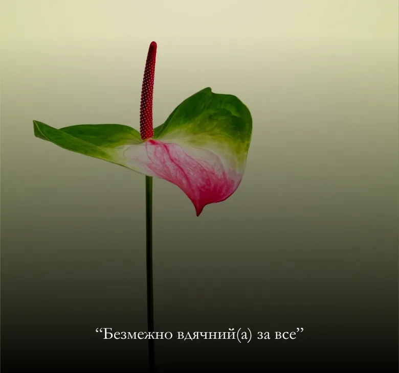 Як завантажити листівки “Дякую”