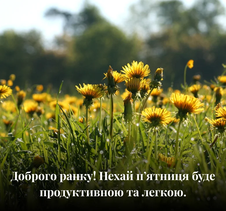 Доброго ранку! Нехай п’ятниця буде продуктивною та легкою
