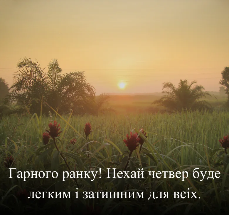 Гарного ранку! Нехай четвер буде легким і затишним для всіх