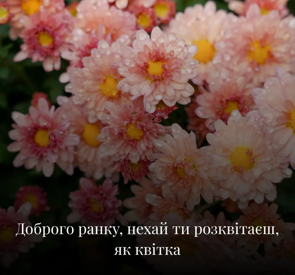 Квіткові листівки з добрим ранком на вівторок