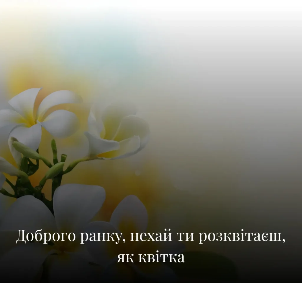 Квіткові листівки з добрим ранком на вівторок