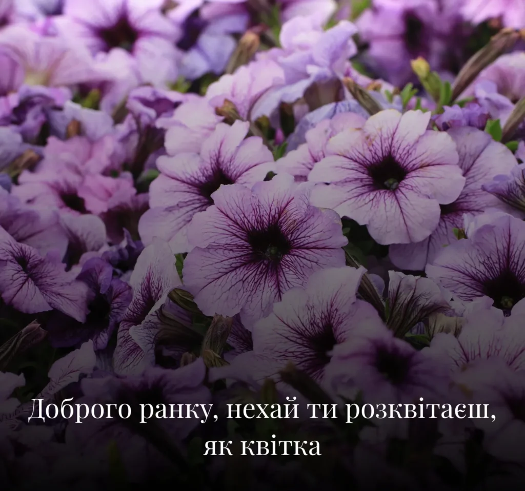 Квіткові листівки з добрим ранком на вівторок