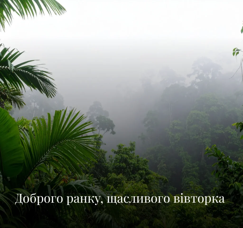 Листівки з добрим ранком для вівторка