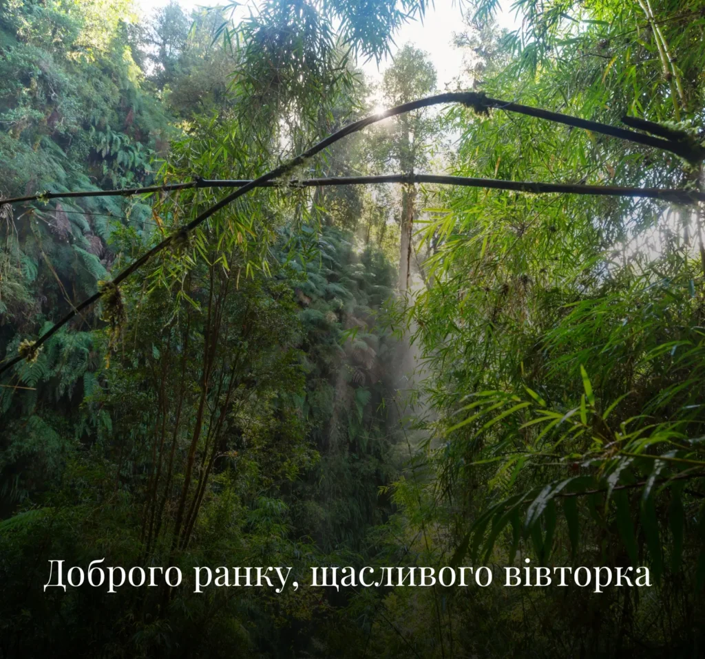 Листівки з добрим ранком для вівторка