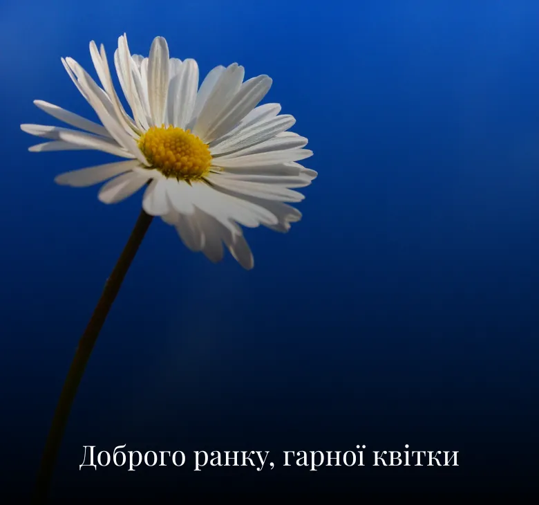 Листівки з добрим ранком та побажаннями на середу