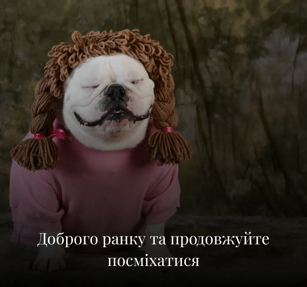 Смішні картинки з добрим ранком на вівторок